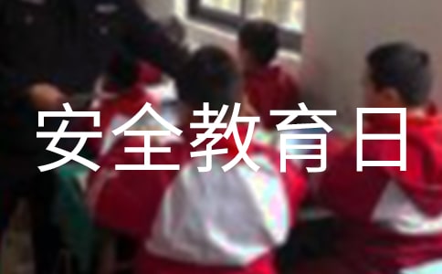 安全教育日活动总结(精选15篇)