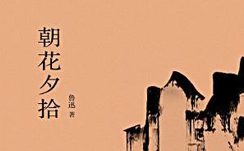 朝花夕拾阅读心得体会