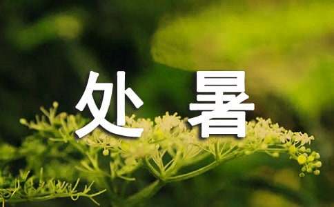 保卫处暑假期间安全工作方案(精选11篇)