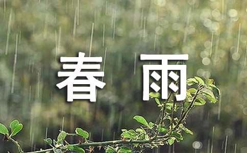 描写春雨的诗句和感悟