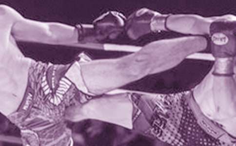 ��ܵ��ĵ���ᣨͨ��15ƪ��