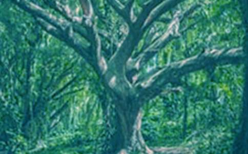 ����ѧ��С��������ĶԻ������ĵ��ĵ�