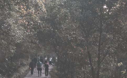 ���ܵ�ɽ�ĵ����