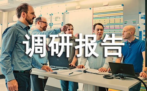 经济发展情况调研报告范文