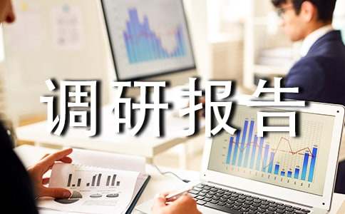 景点调研报告撰写