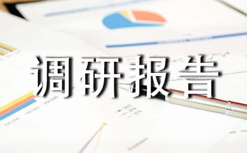 关于调研报告的写作指导
