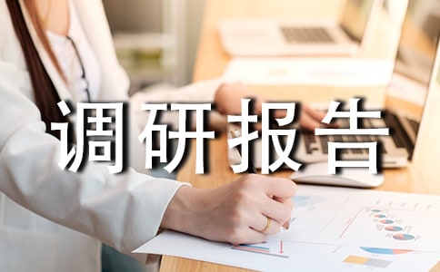 促进我市块状经济发展提升调研报告_调研报告