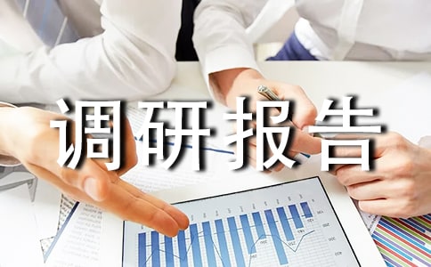 关于经济发展的调研报告(通用12篇)
