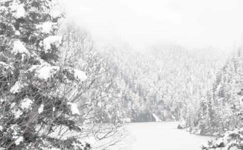 冬季清雪活动心得体会5篇