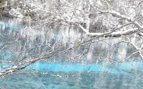 2022Ƿн�����ж������ܽ�