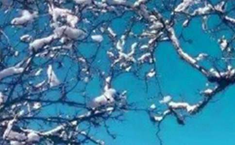 ��������ů��ף���Ｏ��