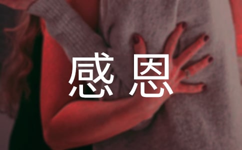 感恩答谢邀请函