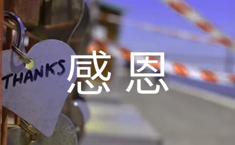 关于感恩主题活动总结
