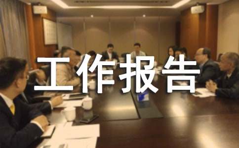 试用期的工作报告