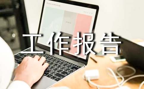 个人试用期工作报告