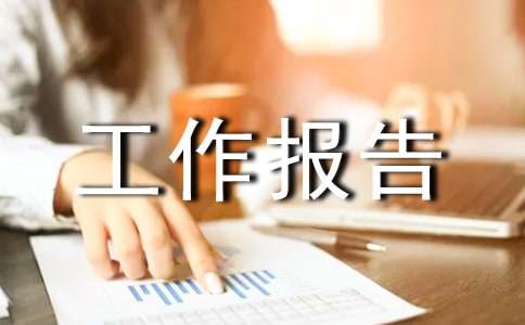 试用期工作报告模板