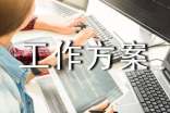 实用的工作方案集锦八篇