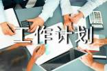 (实用)工作计划