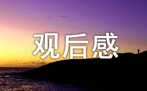 《爱的延续》观后感