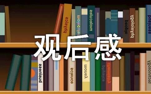 抗日故事影片《鸡毛信》观后感500字三篇