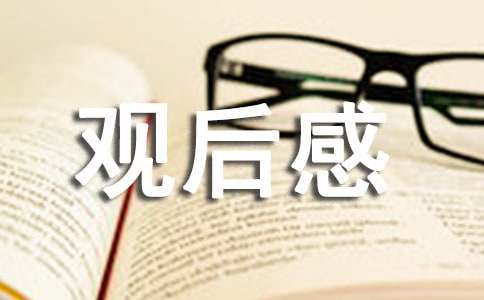 2016爱国影片《宜昌保卫战》观后感