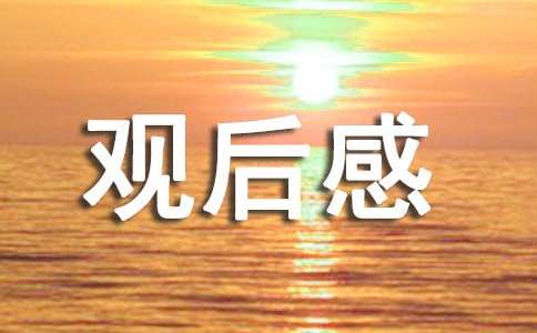 水门桥观后感