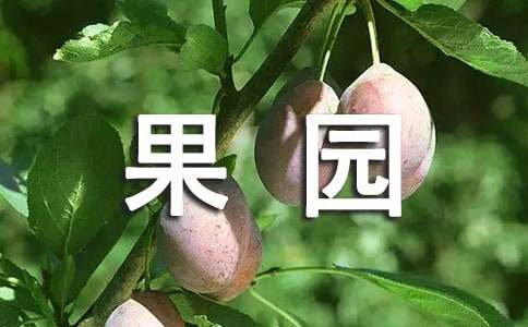 果园转让协议书