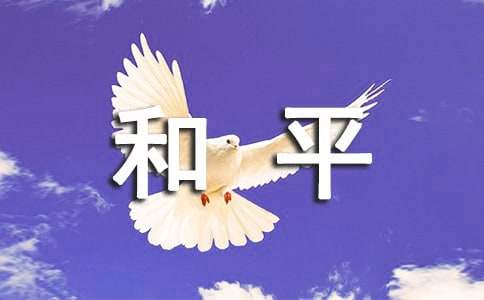 和平协议的500字作文