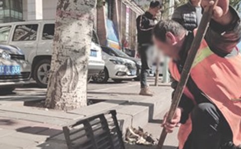 环卫清运队安全活动总结