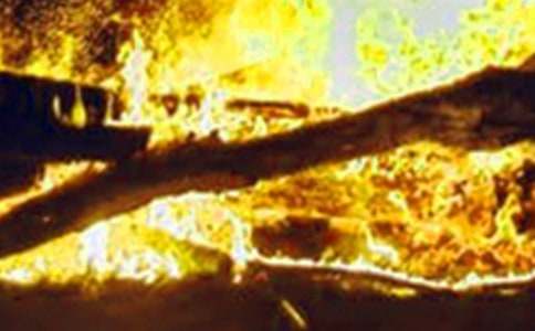 [����]�����¹��ĵ����15ƪ