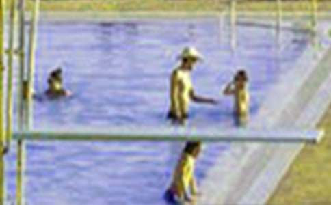 ���ڸ������Ļ��ܡ�4ƪ��