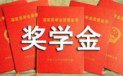 学生校内奖学金申请书