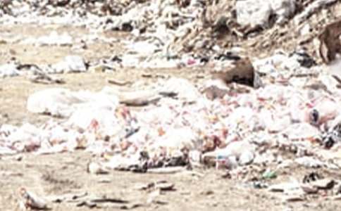 �������ĵ��������