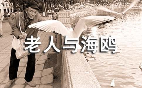 《老人与海鸥》第一课时教学设计方案