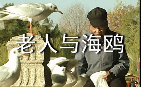 �����뺣Ÿ��ѧ��Ʒ���