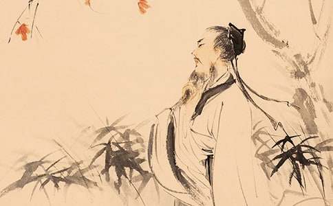 关于提拔李白同志担任版主的考察报告