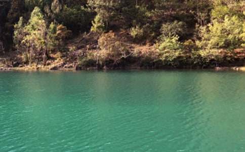 �����ų������ĵ�