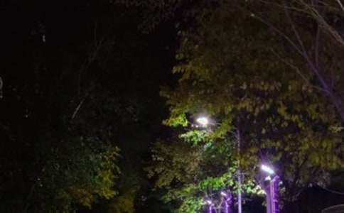 路灯工程合同15篇