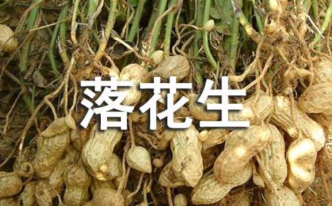 《落花生》在写作方法上的特点总结