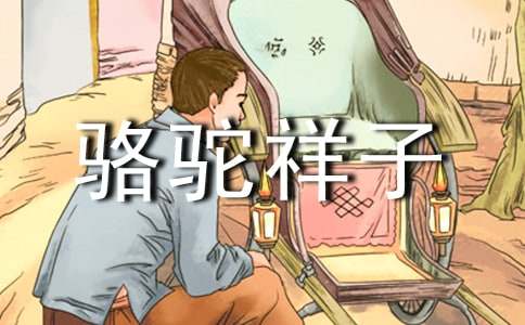 初中描写骆驼祥子的读书心得体会