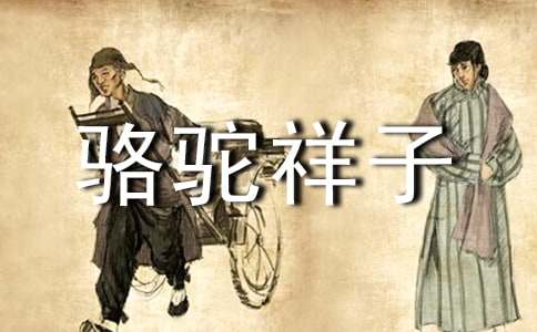 骆驼祥子心得体会集合15篇