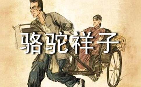 骆驼祥子读书心得与体会