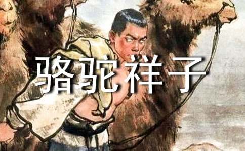 读骆驼祥子的心得体会(集锦12篇)