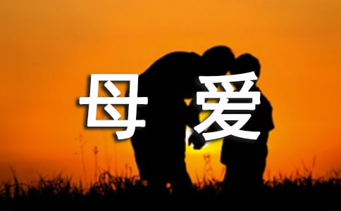 感悟母爱作文(通用15篇)