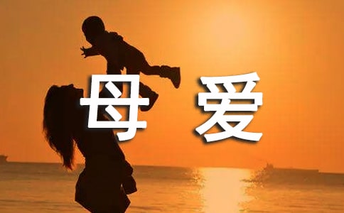 感悟母爱作文