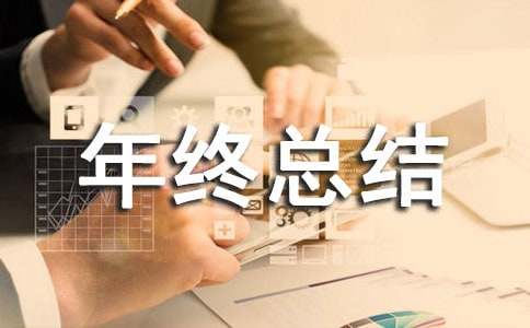 督查工作个人年终总结