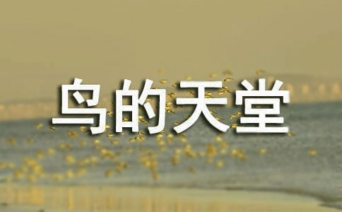 《鸟的天堂》心得体会