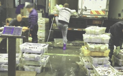 食用醋批发合同书