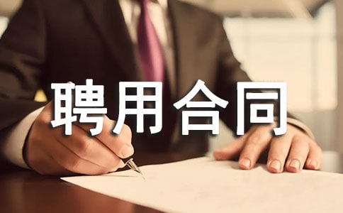 业务员聘用合同范本6篇