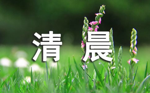 《清晨的感悟》500字作文